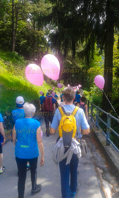 http://www.dolomiti-paesi-gente.it