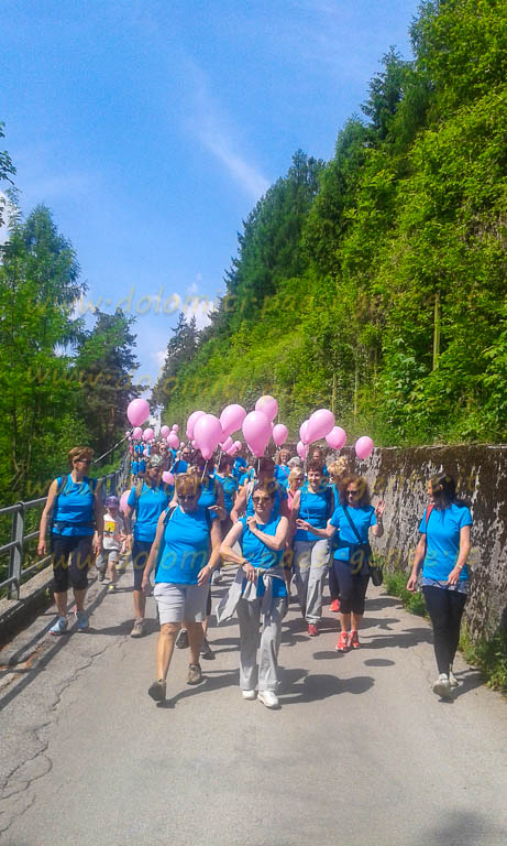 http://www.dolomiti-paesi-gente.it