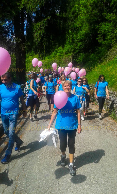 http://www.dolomiti-paesi-gente.it