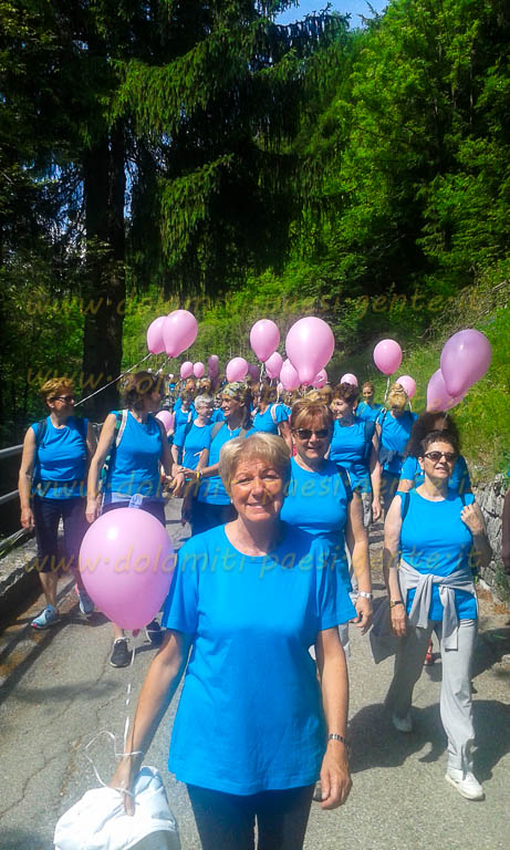 http://www.dolomiti-paesi-gente.it
