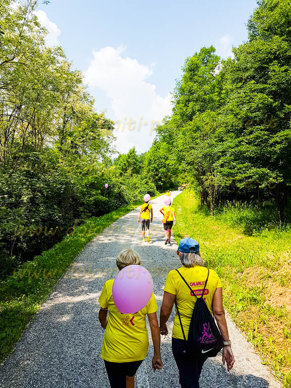 http://www.dolomiti-paesi-gente.it
