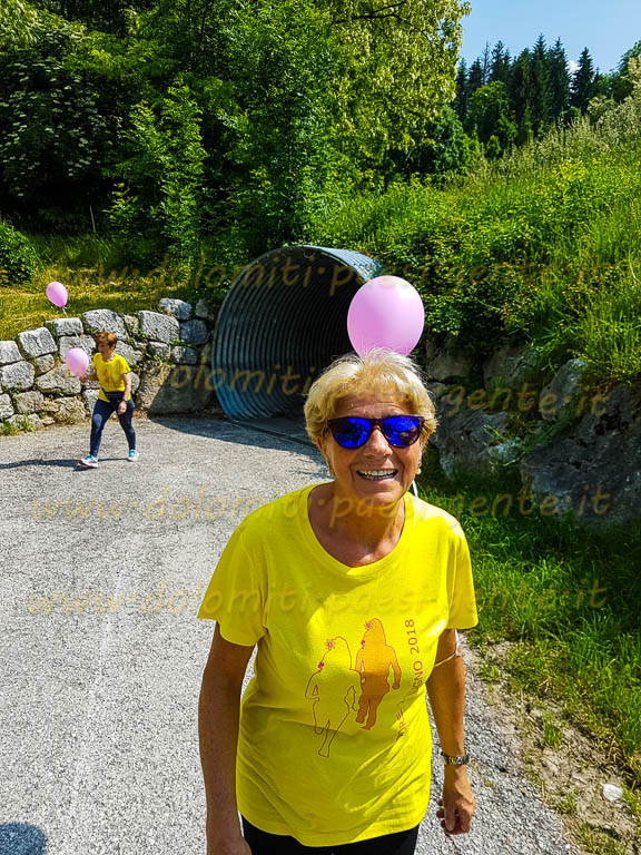 http://www.dolomiti-paesi-gente.it