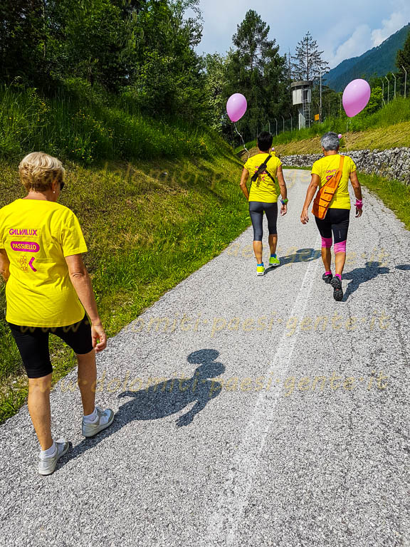 http://www.dolomiti-paesi-gente.it