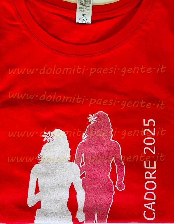 http://www.dolomiti-paesi-gente.it