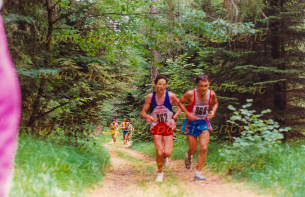 http://www.dolomiti-paesi-gente.it