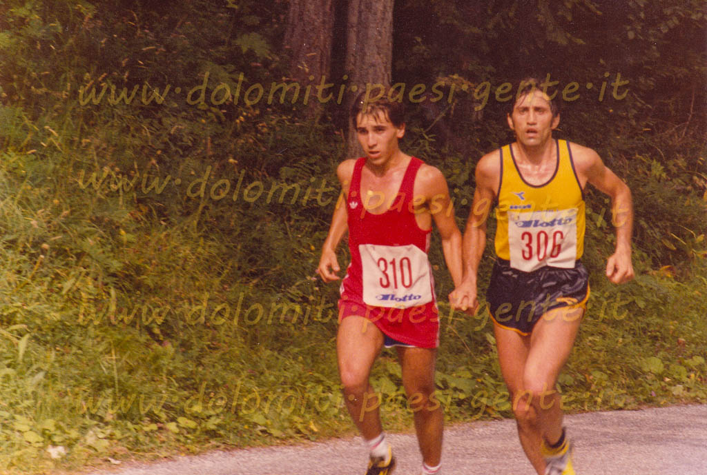 http://www.dolomiti-paesi-gente.it