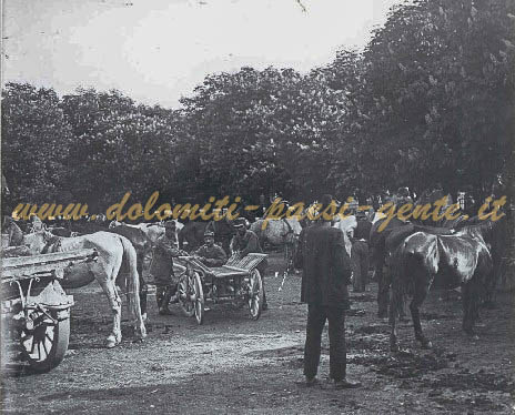 F115 Soldati con carri e cavalli al parco, Belluno 19 maggio 1915