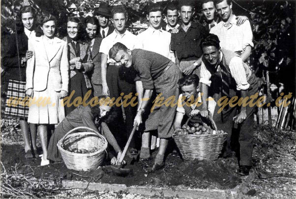 F132 La raccolta di patate nell'orto di guerra del R. Liceo Ginnasio -Tiziano-, Belluno 9 ottobre 1941