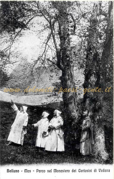 F194 Mas, parco del Monastero dei Certosini di Vedana, anno 1915 ca