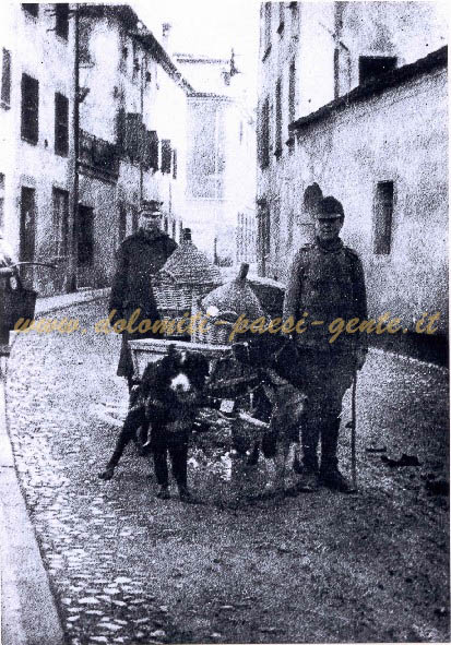 F197 Soldati austriaci addetti al vettovagliamento con il carretto trainato da cani, Belluno 1918