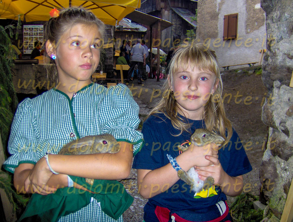 http://www.dolomiti-paesi-gente.it