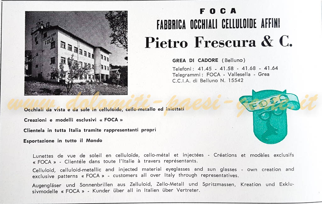 foca d
