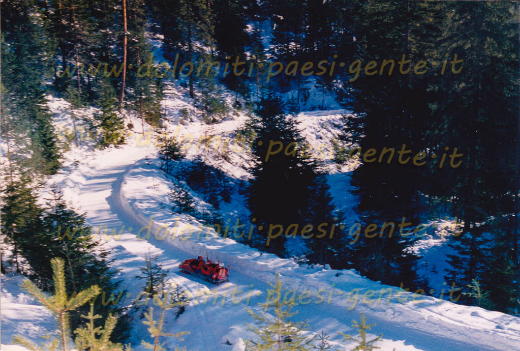 1991 auronzo da fies fabrizio_0133