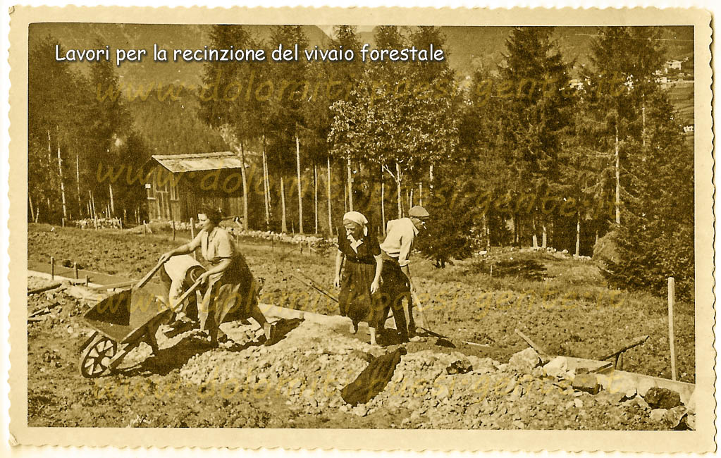 http://www.dolomiti-paesi-gente.it