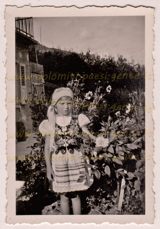 http://www.dolomiti-paesi-gente.it