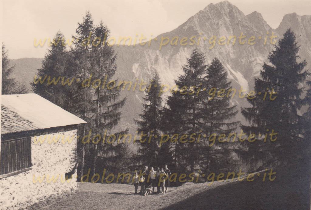 http://www.dolomiti-paesi-gente.it